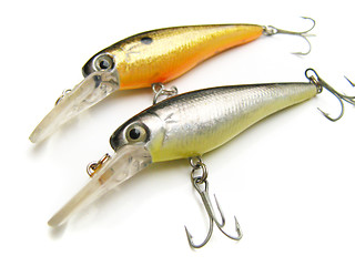 Image showing beautiful fishing bait