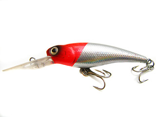 Image showing beautiful fishing bait