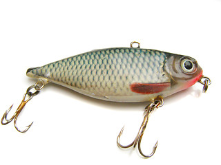 Image showing beautiful fishing bait