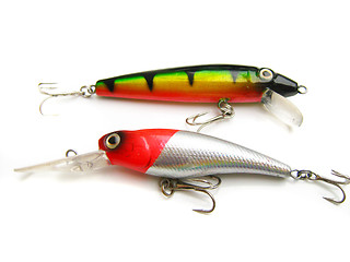 Image showing beautiful fishing bait