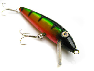 Image showing beautiful fishing bait