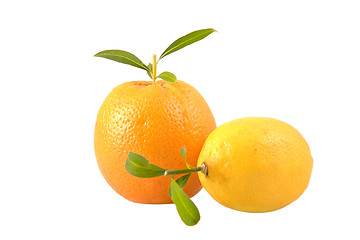 Image showing fresh lemon and orange with leaves