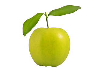 Image showing fresh green apple with leaves