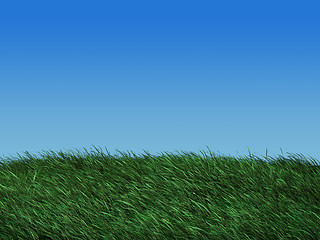 Image showing Grass field in spring