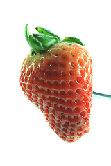 Image showing strawberry