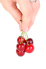 Image showing Hand carrying few red cherries