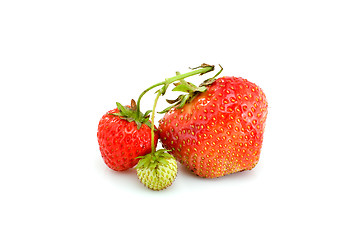 Image showing One green, unripe and pair of ripe red strawberries