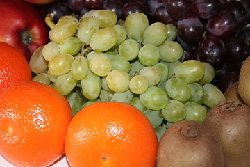 Image showing Different kind of fruits