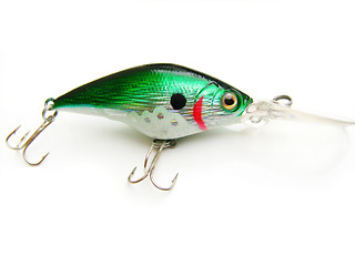 Image showing beautiful fishing bait