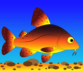 Image showing colorful fish