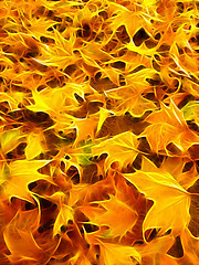 Image showing abstract autumn background