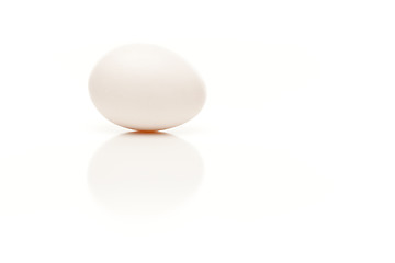 Image showing Single Egg on White Background