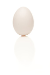 Image showing Standing Egg on a White Background