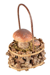 Image showing Basket with two brown mushrooms