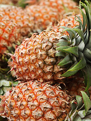 Image showing Pineapples