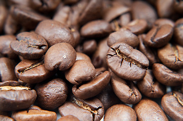 Image showing Caffee beans