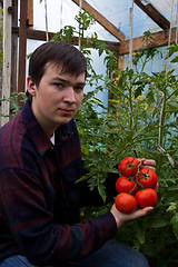 Image showing Young farmer with tomatoes