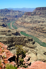 Image showing Grand Canyon West Rim Arizona