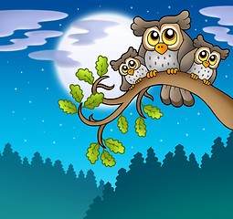 Image showing Cute owls on branch at night