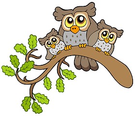 Image showing Three cute owls on branch