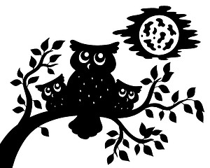 Image showing Silhouette of three owls on branch