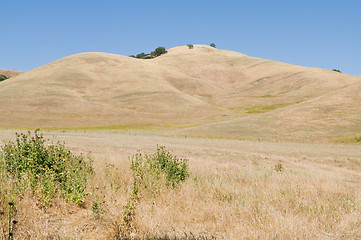 Image showing Brown hills