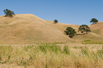 Image showing Brown hills