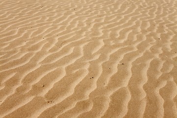 Image showing Sand