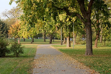 Image showing Autumn