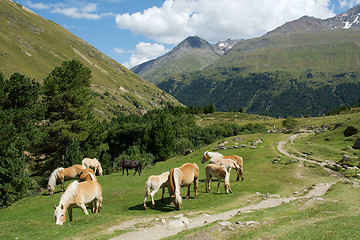 Image showing Alps