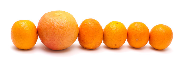 Image showing Oranges