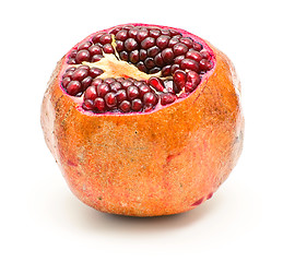 Image showing Pomegranate