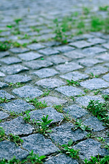 Image showing road of grey stones