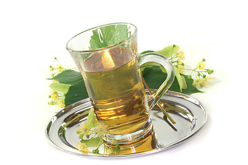 Image showing Linden flower tea