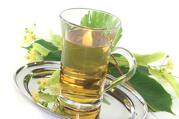 Image showing Linden flower tea