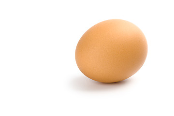 Image showing brown egg