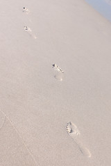 Image showing footprints in the sand