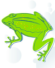 Image showing Frog