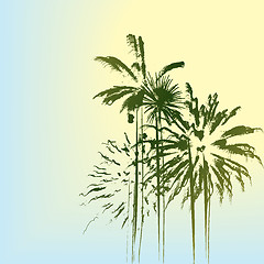 Image showing Palm trees