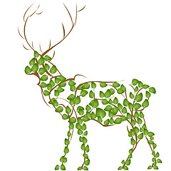 Image showing Deer