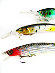 Image showing beautiful fishing bait