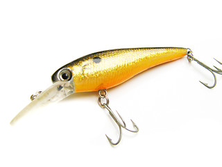 Image showing fishing lure