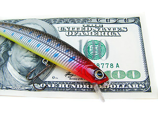 Image showing fishing lure
