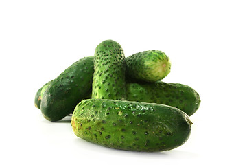 Image showing Pickling cucumbers