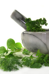 Image showing Kitchen herbs