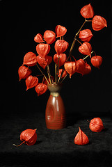 Image showing Bouquet with dry orange flowers