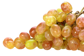 Image showing Single bunch of yellow grape