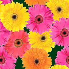 Image showing Background of pink, yellow and orange flowers