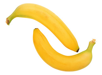 Image showing Two yellow banana