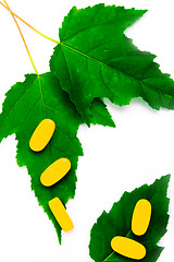 Image showing yellow vitamin pills over green leaves